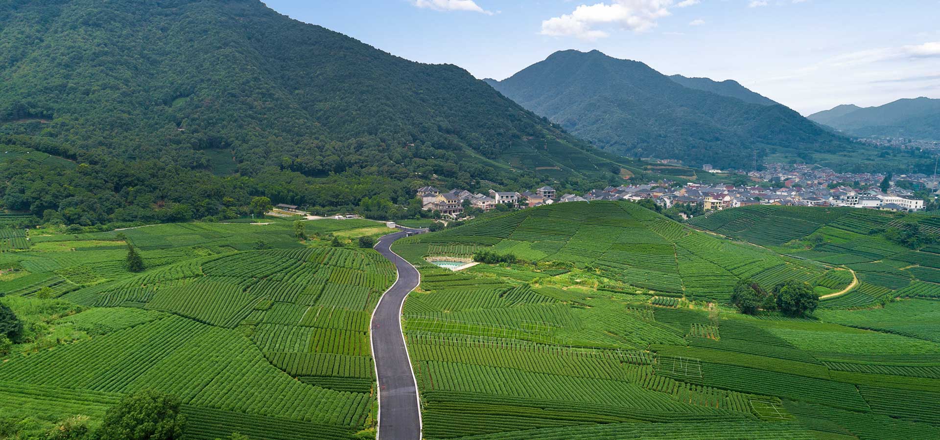 龙坞茶镇-泡在西湖龙井里的小镇-杭州龙坞茶镇